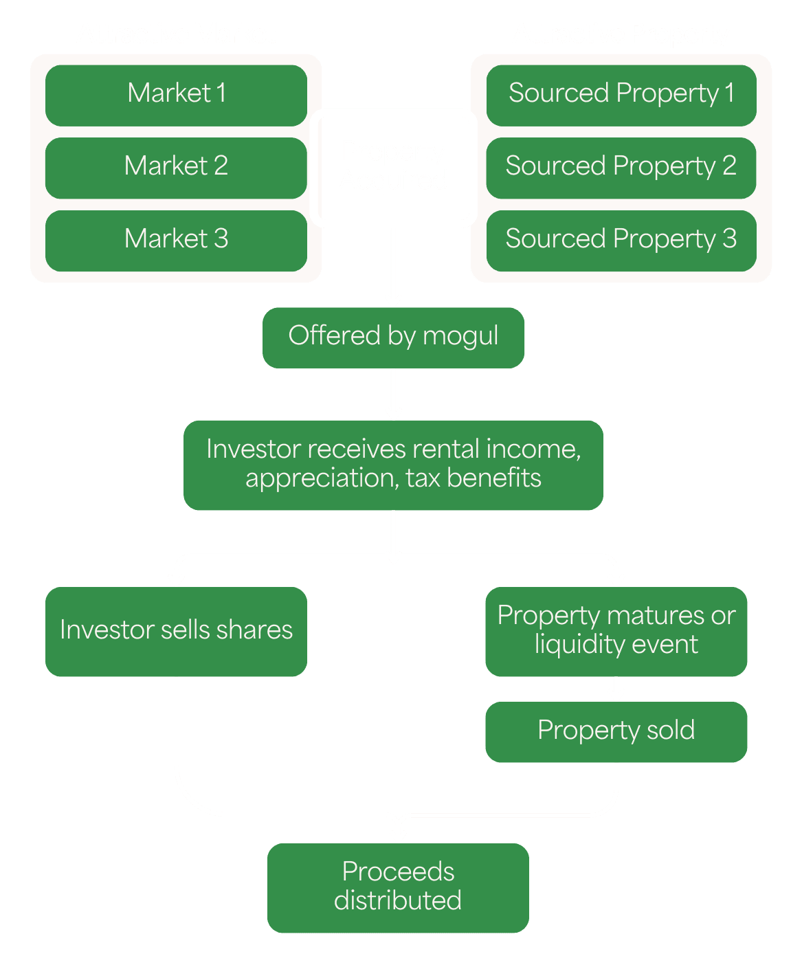 mogul investment process