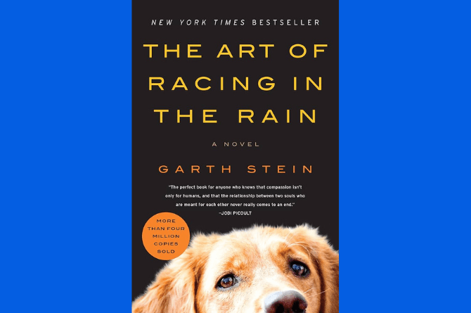 The Art of Racing in the Rain by Garth Stein